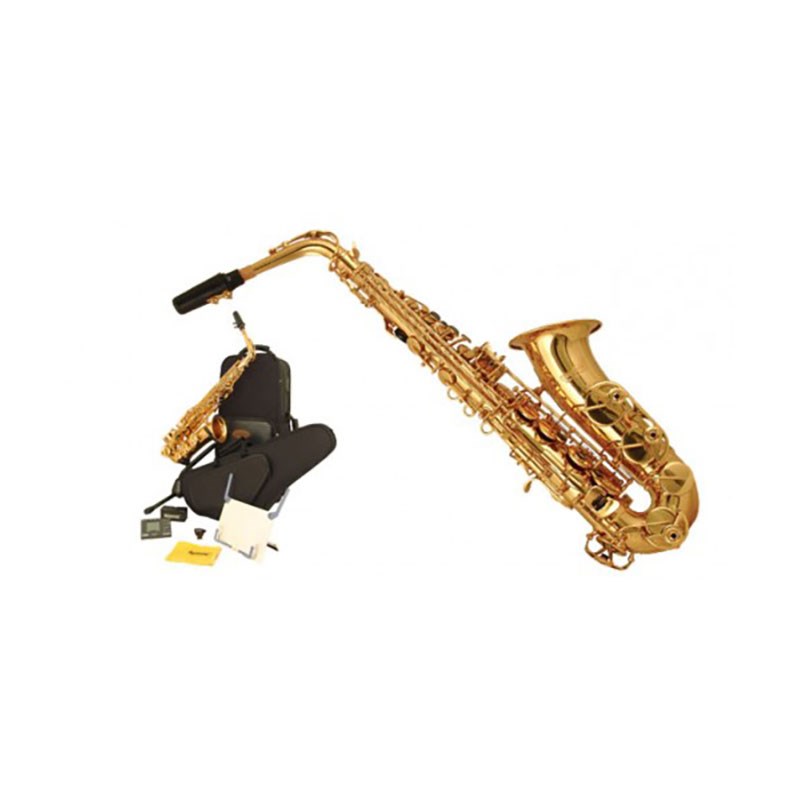 Wisemann WI-0901AS Eb Alto Saxophone Kit